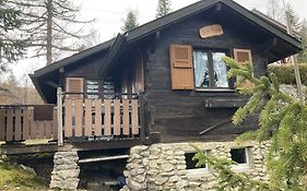 Entire Cozy Chalet In St-Cergue - 30 Min From Geneva