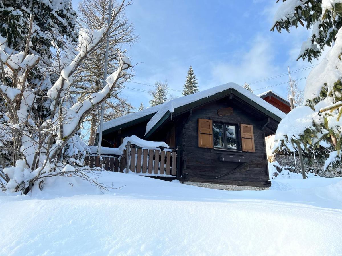 Entire Cozy Chalet In St-Cergue - 30 Min From Geneva Saint-Cergue Buitenkant foto