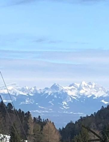 Entire Cozy Chalet In St-Cergue - 30 Min From Geneva Saint-Cergue Buitenkant foto