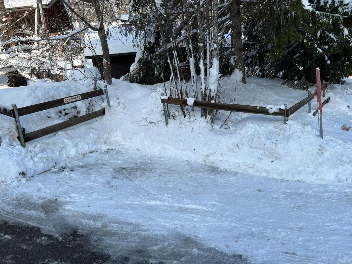 Entire Cozy Chalet In St-Cergue - 30 Min From Geneva Saint-Cergue Buitenkant foto