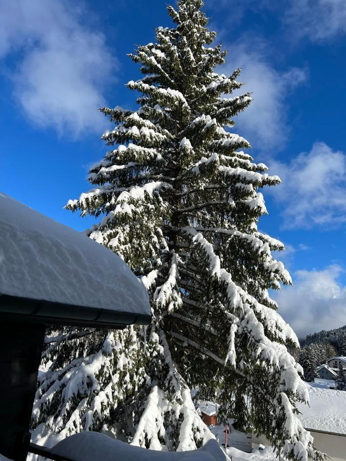 Entire Cozy Chalet In St-Cergue - 30 Min From Geneva Saint-Cergue Buitenkant foto