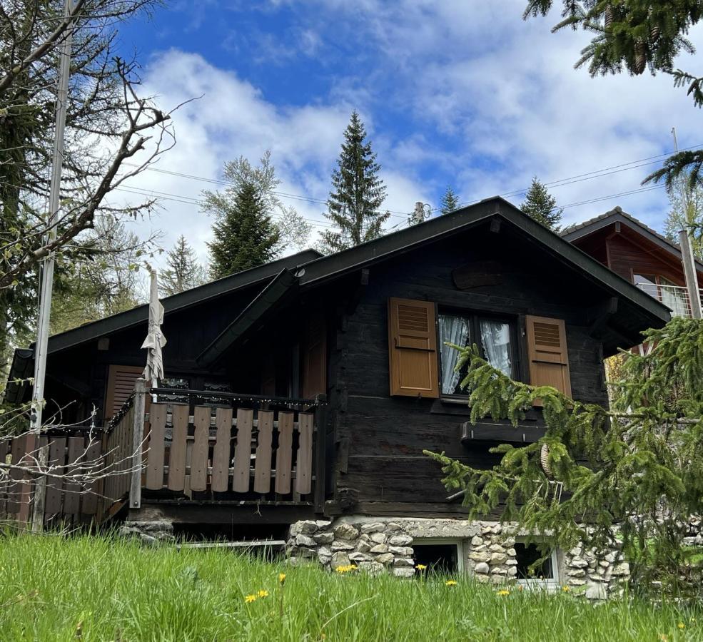Entire Cozy Chalet In St-Cergue - 30 Min From Geneva Saint-Cergue Buitenkant foto
