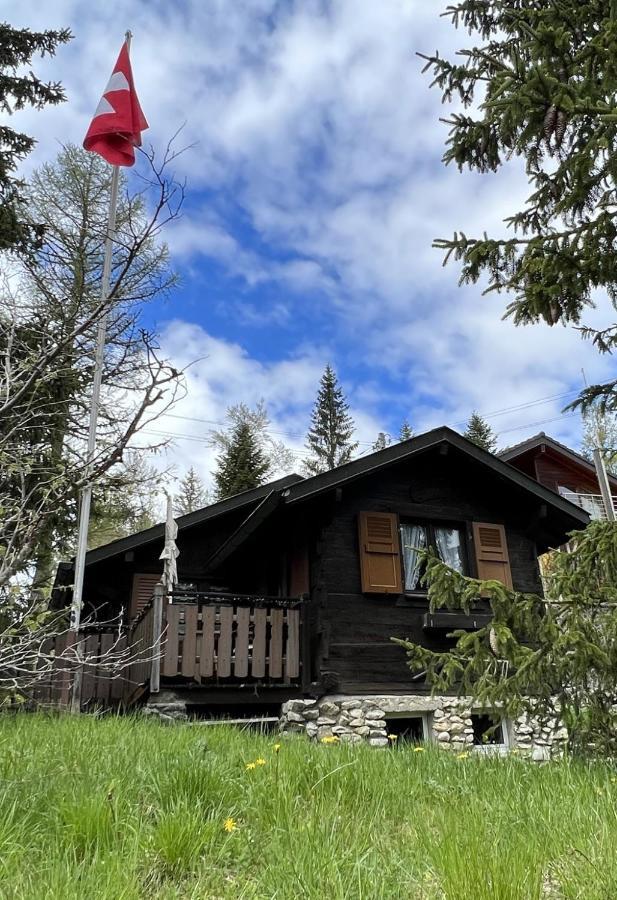 Entire Cozy Chalet In St-Cergue - 30 Min From Geneva Saint-Cergue Buitenkant foto